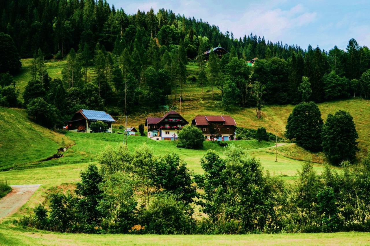 Appartement VIDMAR-WINTERTRAUM Arriach Buitenkant foto