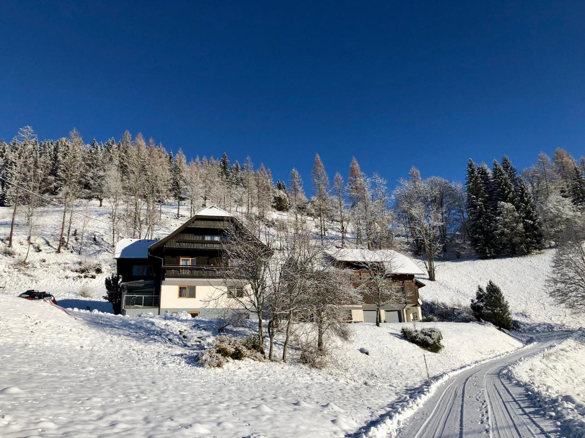 Appartement VIDMAR-WINTERTRAUM Arriach Buitenkant foto