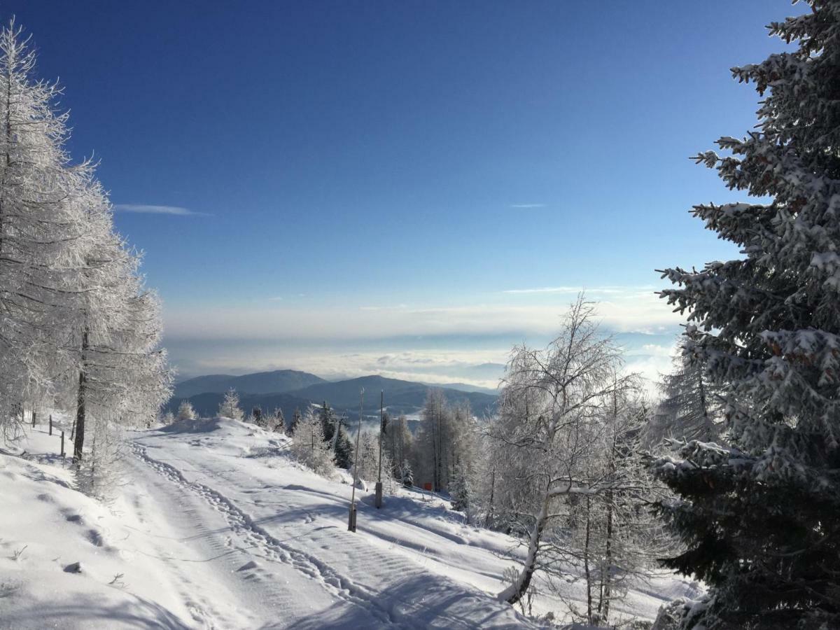 Appartement VIDMAR-WINTERTRAUM Arriach Buitenkant foto